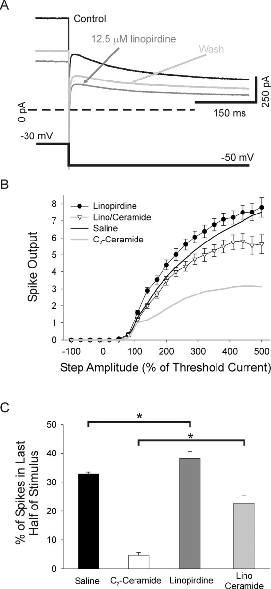 Figure 13.