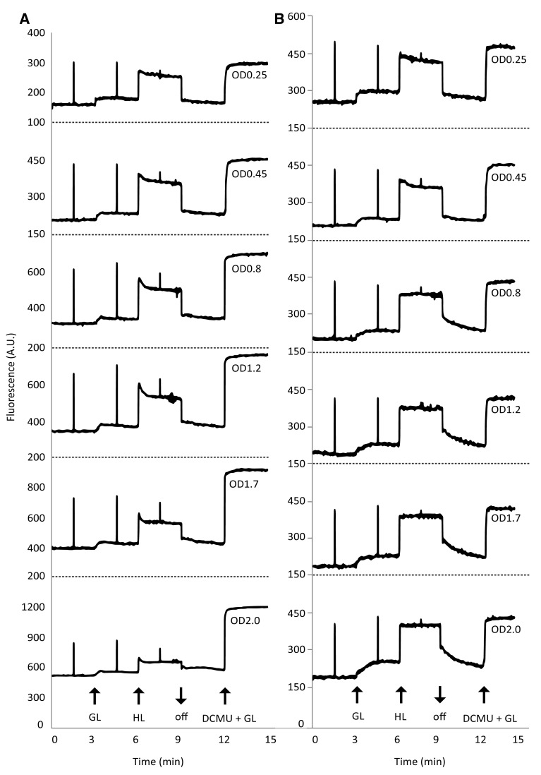 Fig. 2