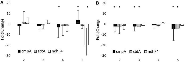 Fig. 7