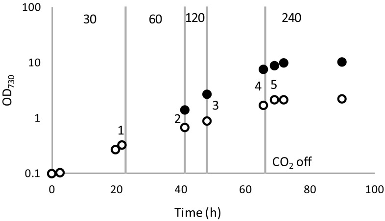 Fig. 6