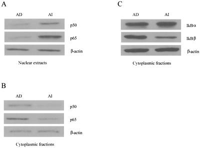 FIG. 8.