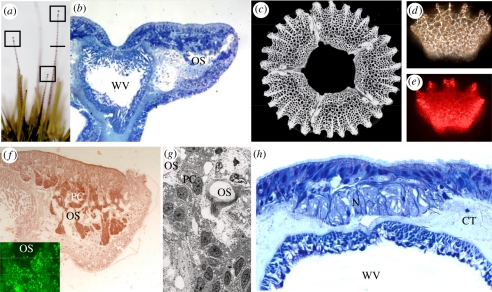 Figure 2.