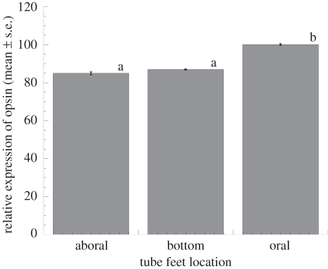 Figure 5.