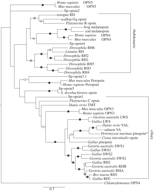 Figure 4.