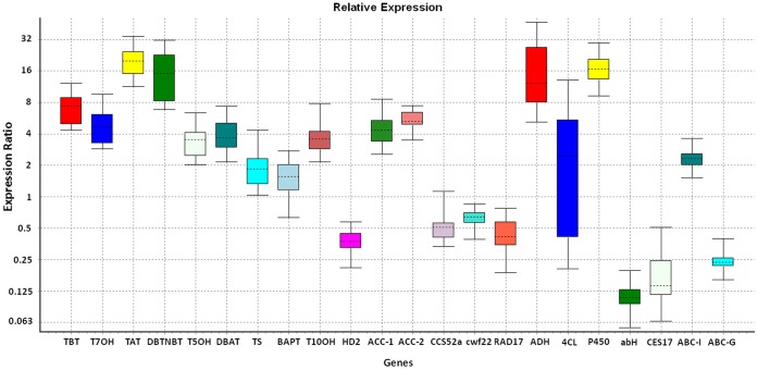 Figure 4