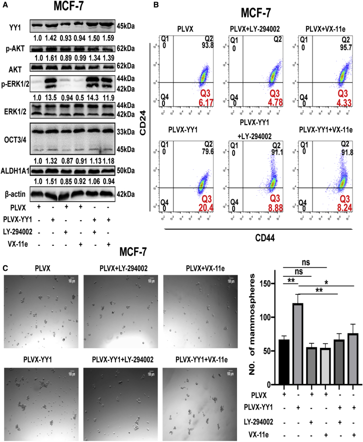 Figure 6