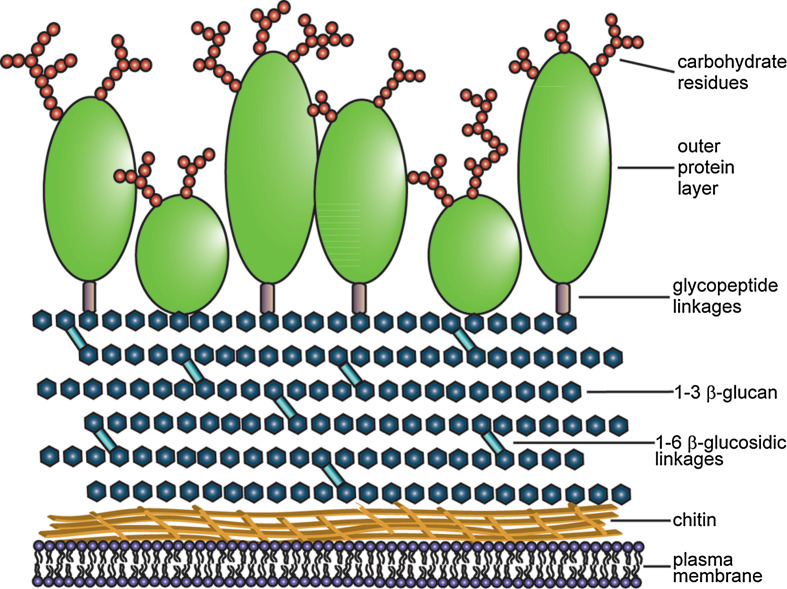 Fig. 1