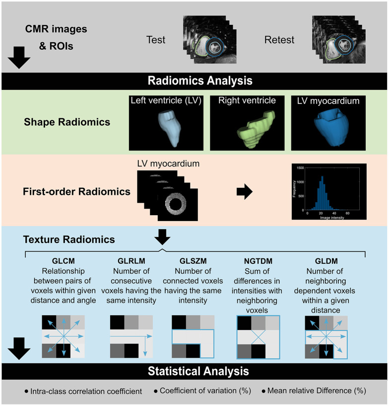 Graphical Abstract