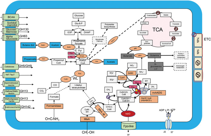 FIG 2