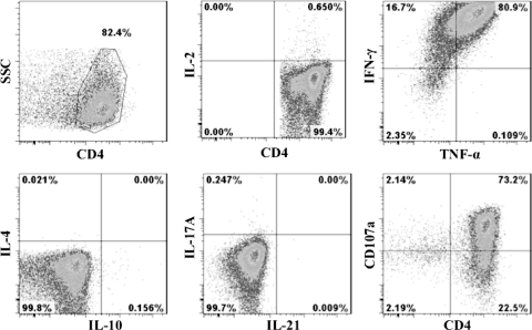 Fig. 9.