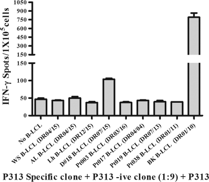 Fig. 7.