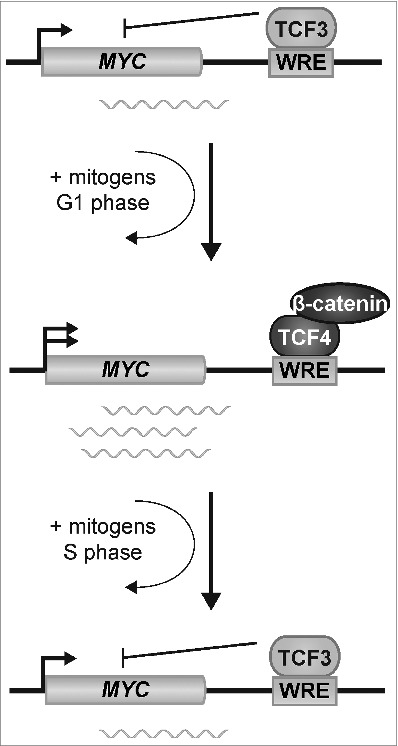 Figure 7.