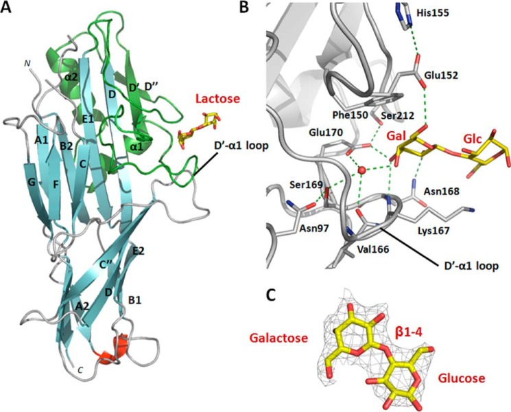 FIGURE 1.