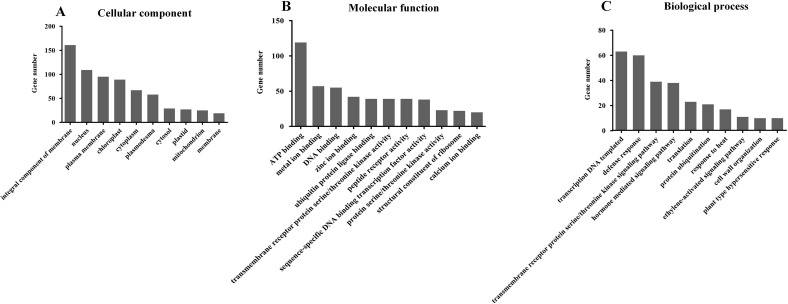 Fig 5