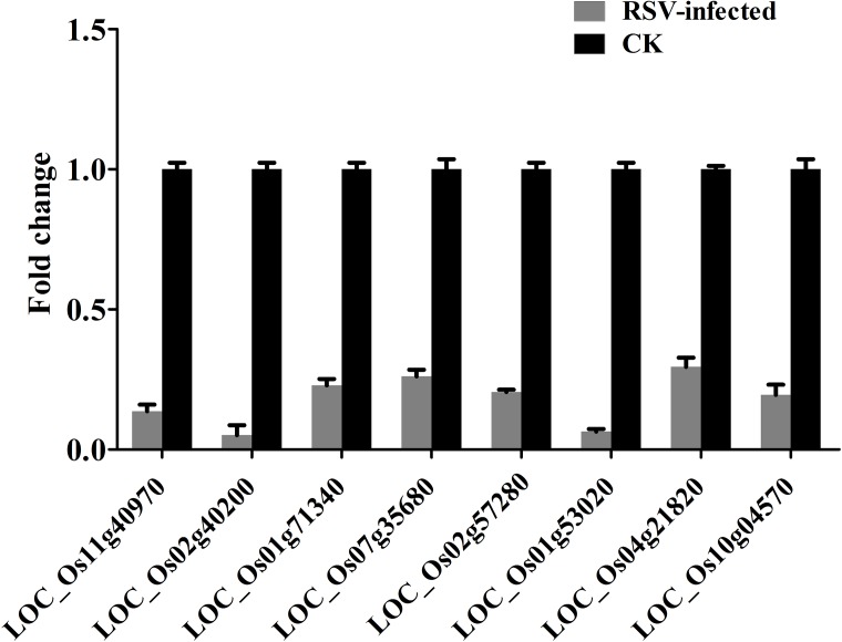 Fig 6