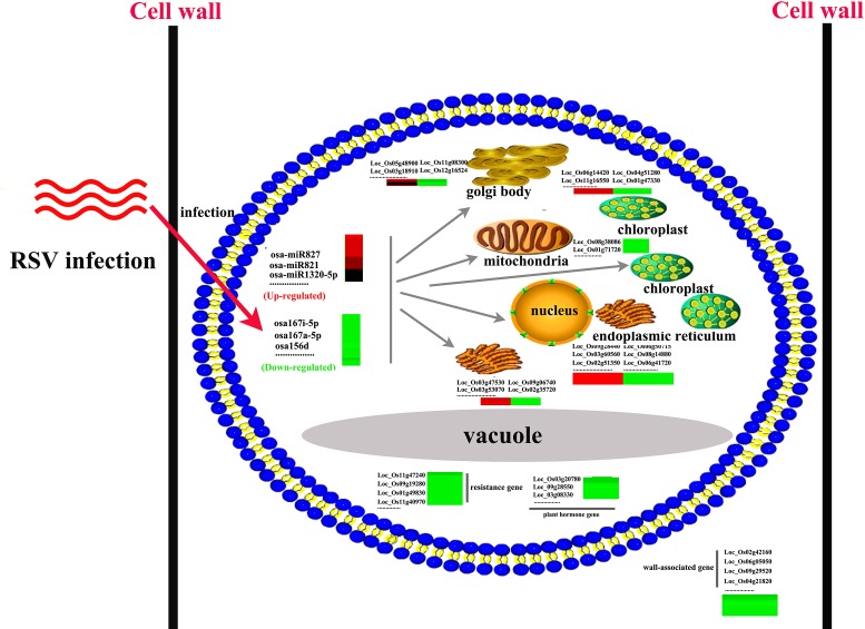 Fig 7