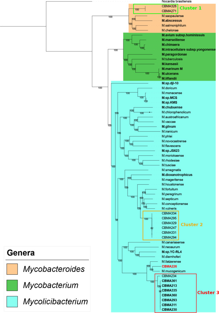 Fig. 1.