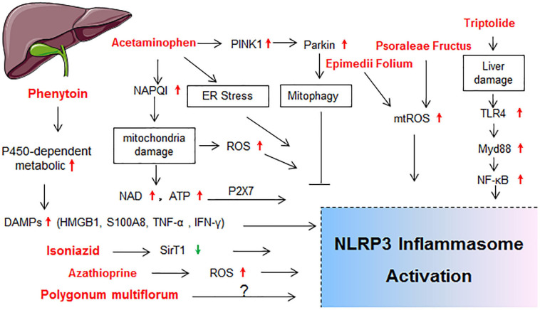 FIGURE 2