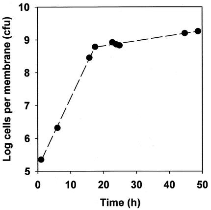 FIG. 3.