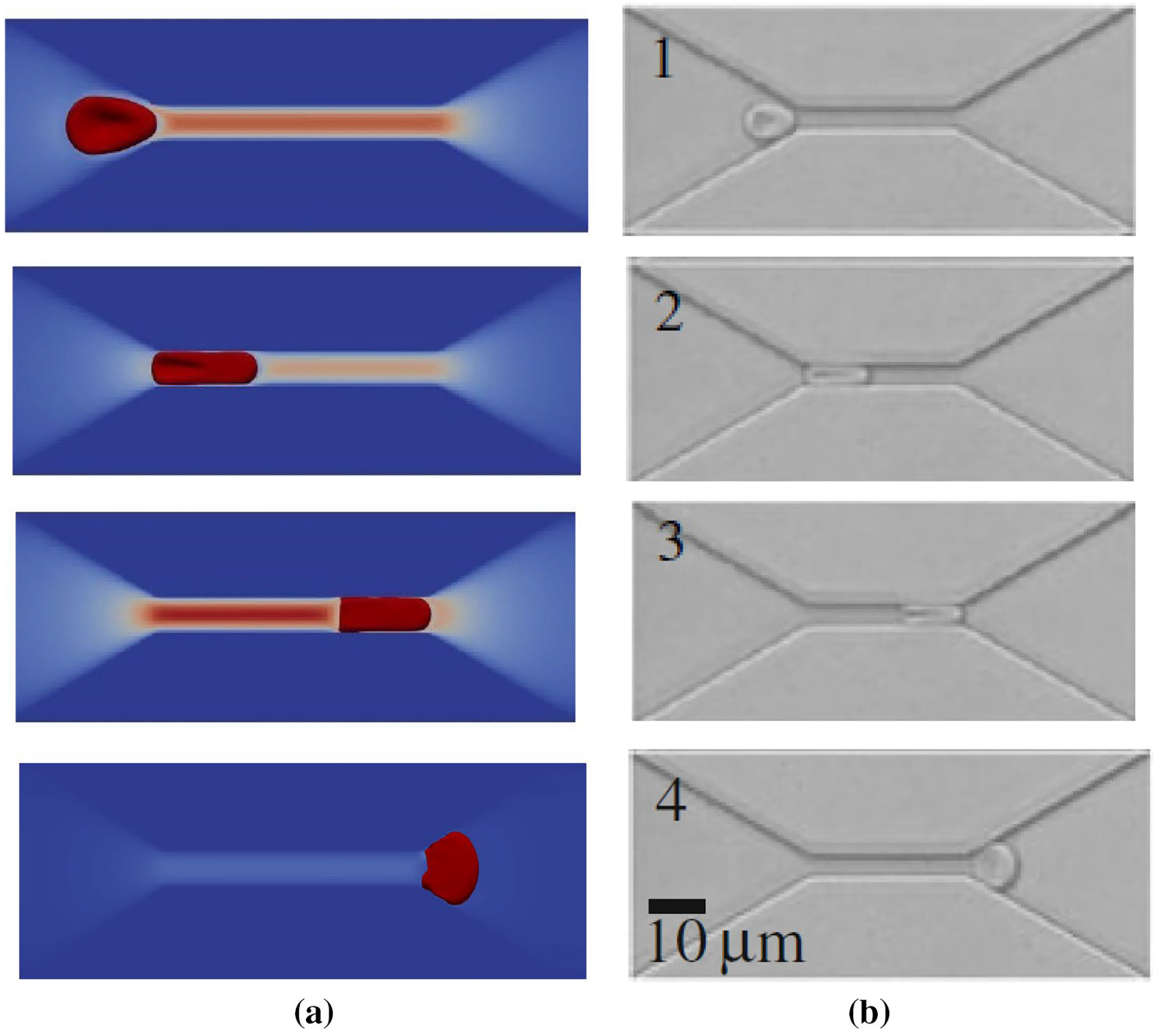 Fig. 9