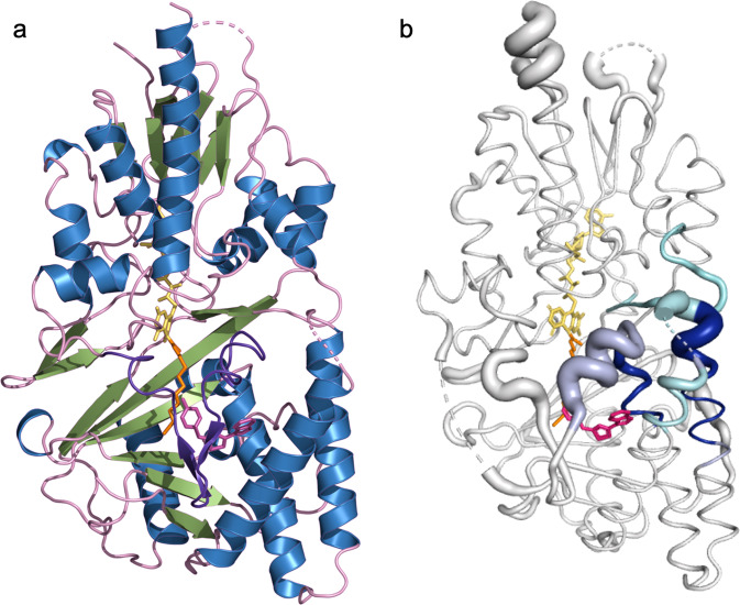 Fig. 6