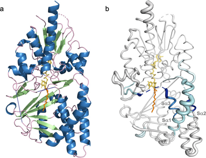 Fig. 3