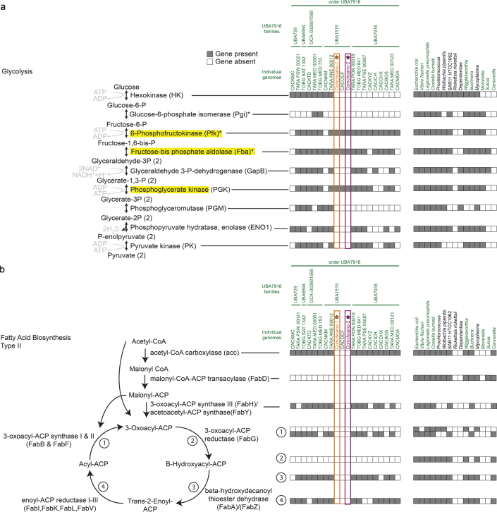 Extended Data Fig. 9
