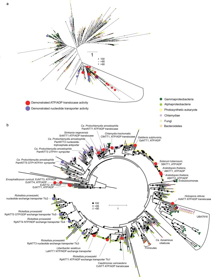 Extended Data Fig. 10