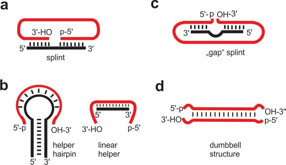 Figure 5.