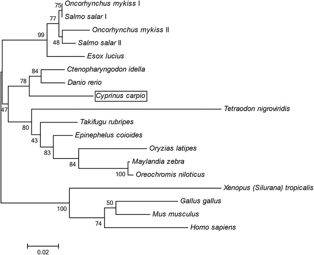 Fig. 2