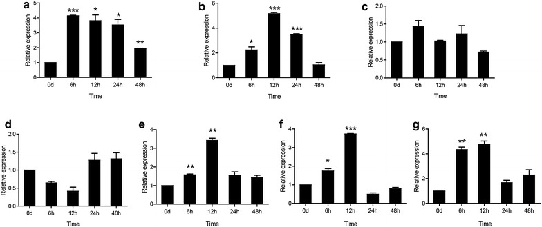 Fig. 4