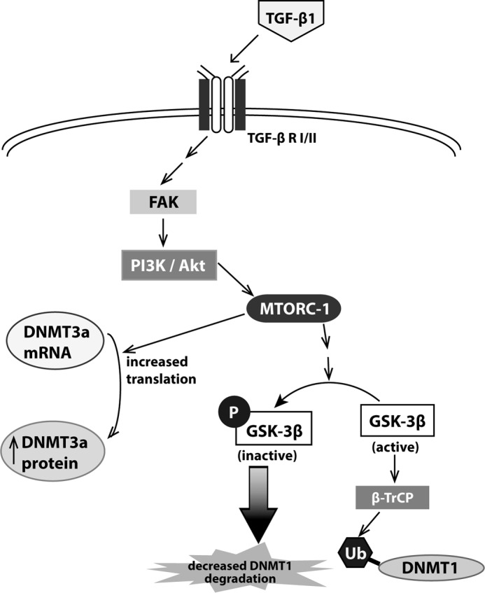 FIGURE 10.