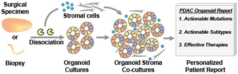 Figure 1: