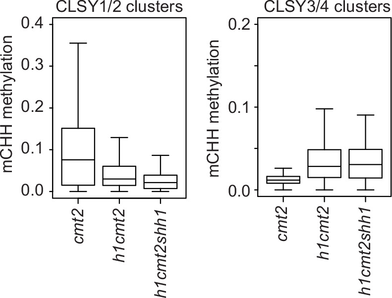 Figure 4—figure supplement 1.