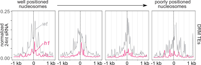 Figure 2—figure supplement 1.