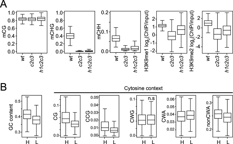 Figure 7—figure supplement 1.