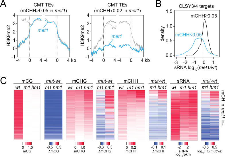 Figure 5—figure supplement 1.