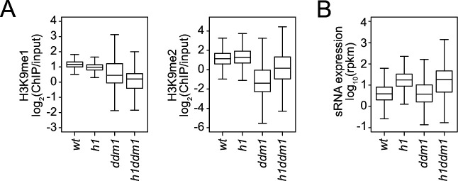 Figure 6—figure supplement 1.