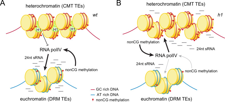 Figure 10.