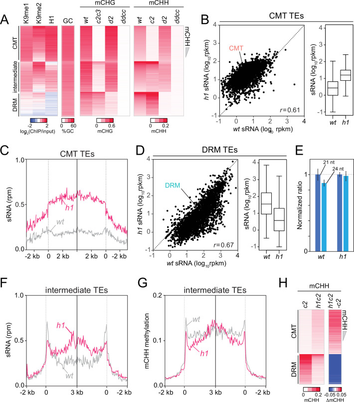 Figure 1—figure supplement 1.