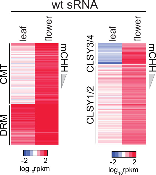 Figure 4—figure supplement 2.