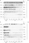 FIG. 8.