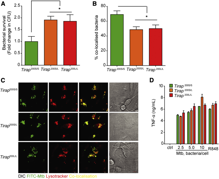 Figure 2