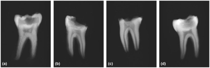 FIGURE 2