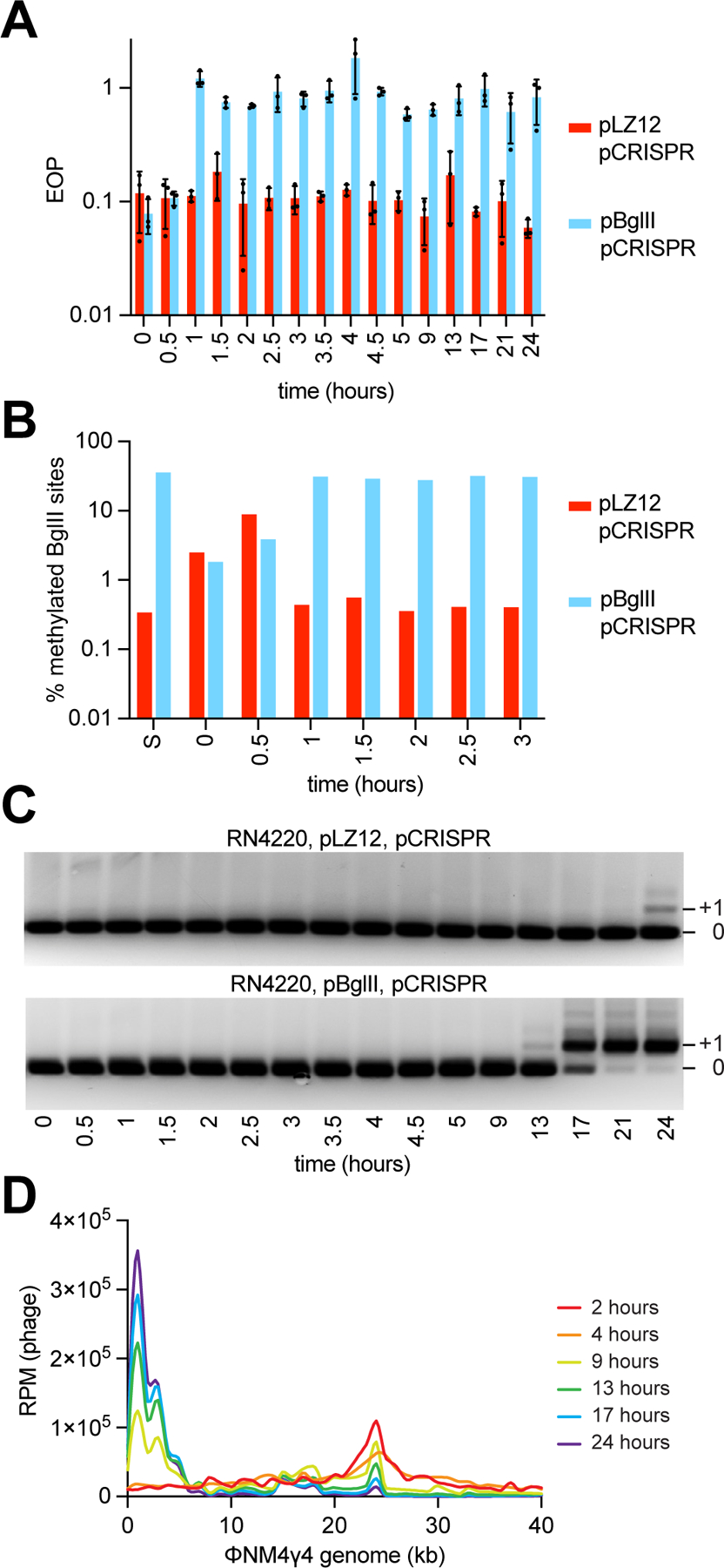 Figure 5.