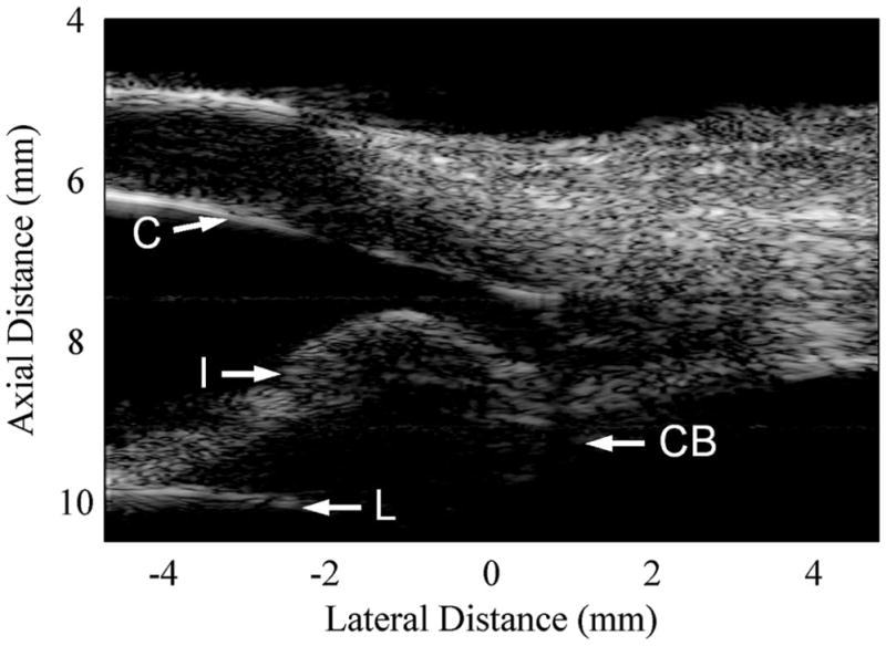 Fig. 11