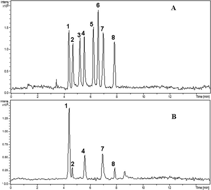 Fig. 6