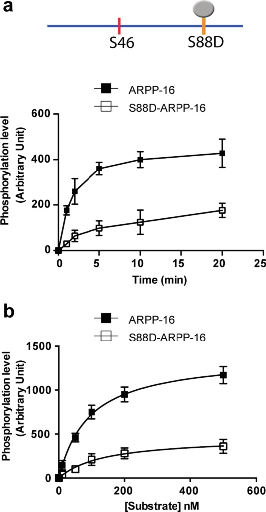 Figure 1—figure supplement 1.