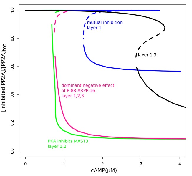 Figure 3—figure supplement 2.