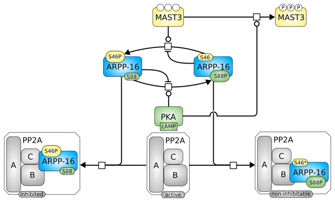 Appendix 1—scheme 3.